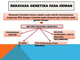 Rekayasa Genetika Pada Tumbuhan Dan Hewan Pptx