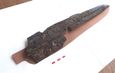 9000-year-old wooden spear discovered at a lake | ArchaeoFeed