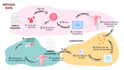 M Todo Ropa En Zaragoza Cl Nica De Reproducci N Asistida Aisa Fiv