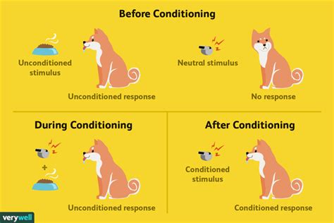 Classical Conditioning: Examples and How It Works