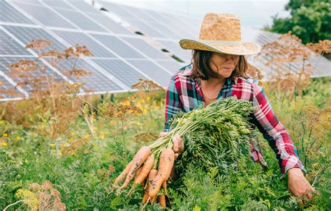 la energia en la produccion agricola Optimiza la energía en producción