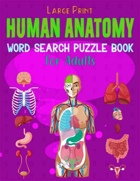 Buy Large Print Human Anatomy Word Search Puzzle Book For Adults