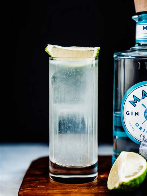 30 Best Gin Cocktails To Try A Couple Cooks