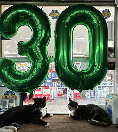 VCA Wakulla Animal Hospital - We are closed in observance of