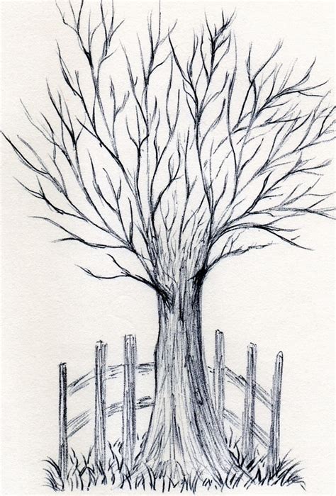 Tree Drawing Images Hd / Since most pencil and pen drawings are ...