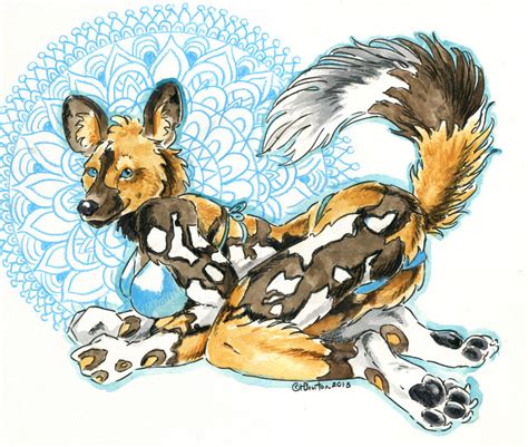 The Big Imageboard Tbib 2018 African Wild Dog Anthro Bikini Black