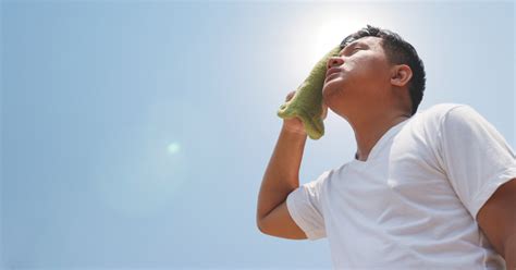 Evita Los Golpes De Calor Aqu Te Decimos Qu Son