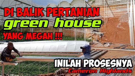 Proses Pembuatan Green House Rumah Bumbung Plastik Buat Tanaman Sayur