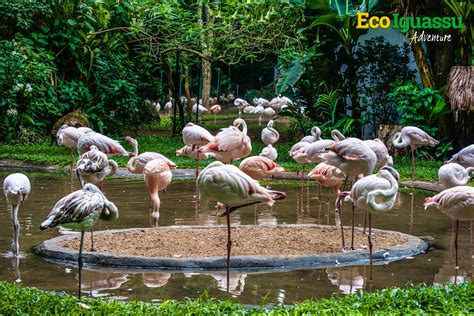 Private tours at Iguassu Falls