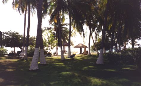 Joyce And Jim In Aruba ImgPile