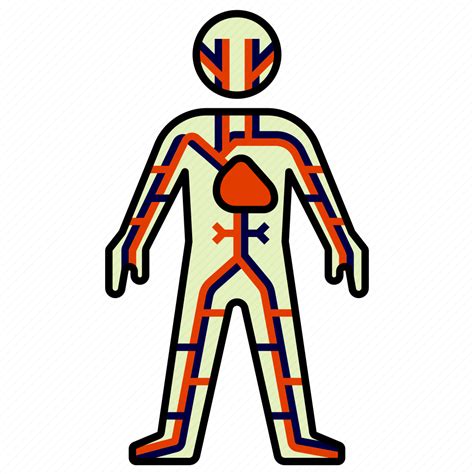 Anatomy Body Cardiovascular System Health Medical Veins Icon