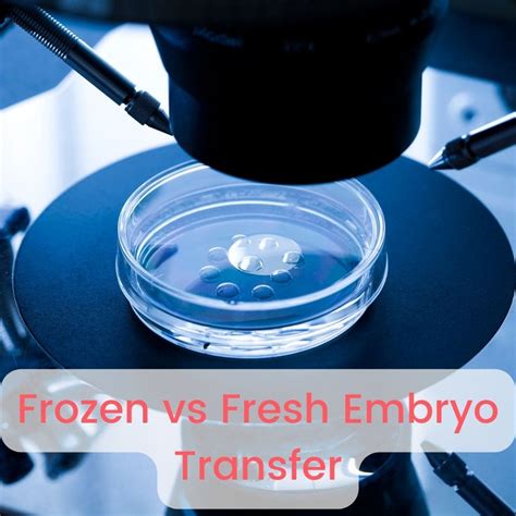 Frozen Vs Fresh Embryo Transfer