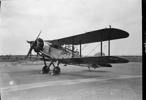 Westland Wapiti Canadien Au Sol