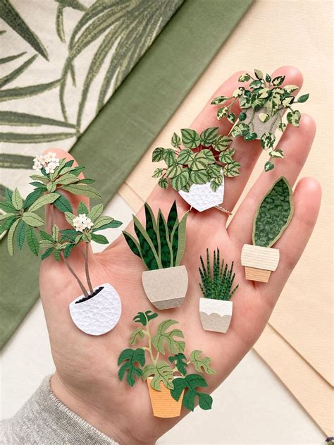 A Person S Hand Holding Several Different Types Of Houseplants And