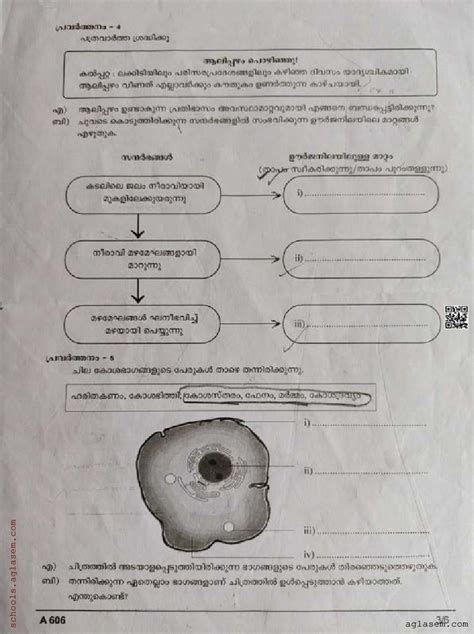 Class 6 Basic Science Onam Exam Question Paper 2024 Kerala Std 6