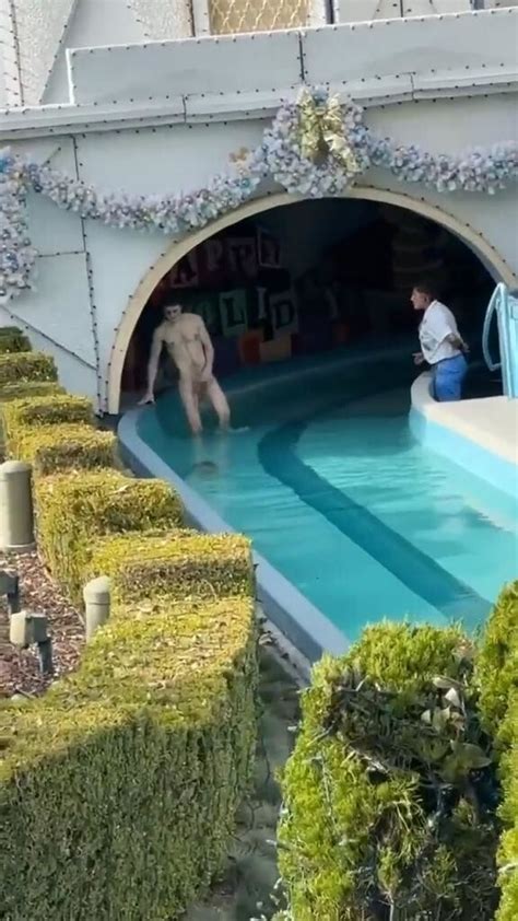 A Disneyland Visitor Stripped Naked And Went Swimming 7 Photos 2 Videos Nevsedoma