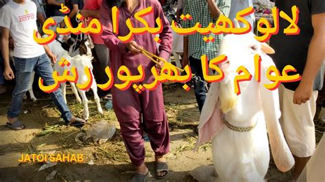 Lalukhet Bakra Mandi Bakriyon Ki Lag Gai Sell Karachi Goat