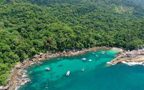 Dia Nacional Da Mata Atlantica Ilha Grande Saiba Tudo Sobre Viagens