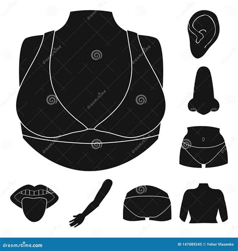 Vector Design Of Body And Part Sign Set Of Body And Anatomy Vector