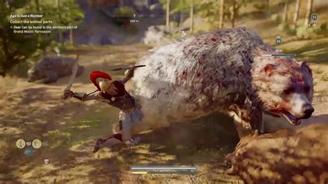 Assassin S Creed Odyssey Hunting Bears And Deer Side Quest Age Is