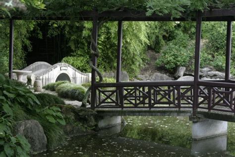 Chinese Scholars Garden Hamilton Gardens