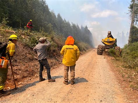 Senapred Canceló Alerta Roja Por Incendios Forestales En Tres Comunas