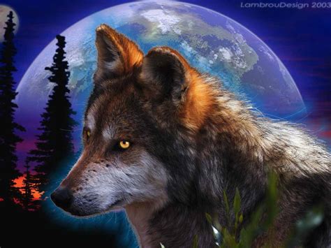 3D Wolf Wallpapers - WallpaperSafari