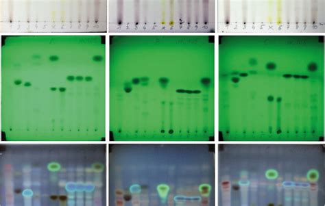 Chemie macht Biodiversität sichtbar BLO24 at