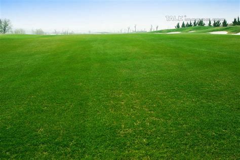 无人横图室外白天正面度假草地草坪美景沙漠植物城市风光城市中国亚洲阴影光线影子景观球场枝条娱乐蓬莱