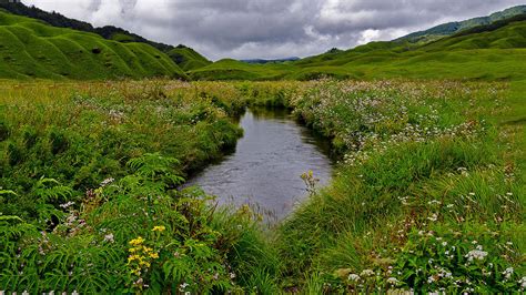 Dzukou Valley - History, Things to Do, Location, Best Time to Visit ...