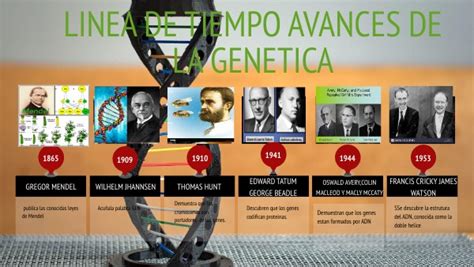 Copia Linea De Tiempo De Avances De La Genética