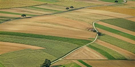 Agriculture Durable L Impact De La Diversification Des Cultures