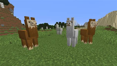 Minecraft Llama Wallpapers Wallpaper Cave