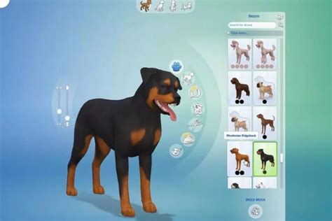 The sims 4 cats and dogs cc - majorosi