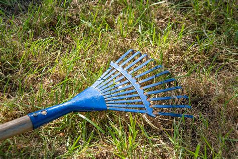 4 Ways To Prepare Your Lawn And Landscape For Spring Green Care Turf