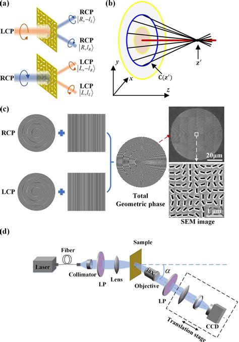 A The Deflected Rcp And Lcp Beams Through The Metasurface B