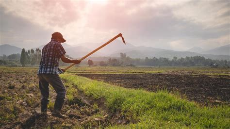 IR 2022 conheça as regras para produtores rurais Summit Agro