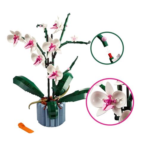 Orchidea Kwiaty Bukiet W Doniczce Z Klock W Klocki