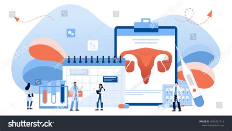 Gynecology Female Health Uterus Ovary And Royalty Free Stock