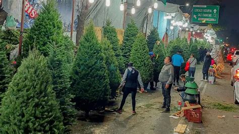 Dónde comprar árboles de Navidad naturales baratos en la CDMX Unión