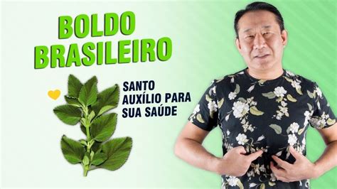 OS BENEFÍCIOS DO BOLDO BRASILEIRO Dr Peter Liu YouTube