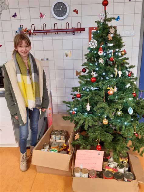 Exin Oberschule Zehdenick Sammelaktion für Tierheim