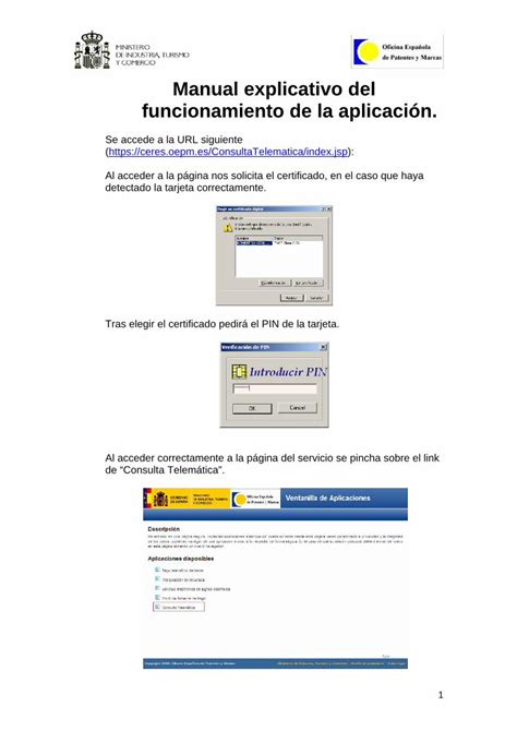 PDF Manual explicativo del funcionamiento de la aplicación 2