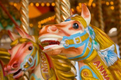 Carousel Horses stock photo. Image of colourful, round - 5961026