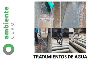 Tratamientos De Agua Ambiente Cero Control De Plagas Zaragoza