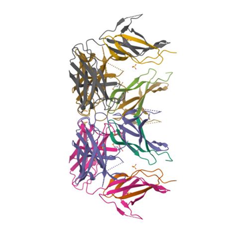 Rcsb Pdb 4go6 Crystal Structure Of Hcf 1 Self Association Sequence 1