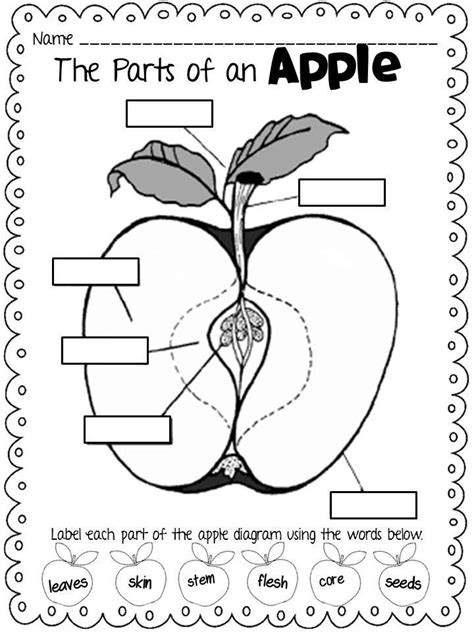 Free Printable Apple Worksheets Printable Calendars At A Glance