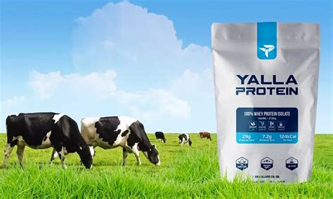 Benefits Of Grass Fed Whey Protein Isolate Yalla Protein