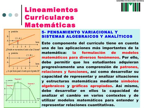 Conocimientos B Sicos Lineamientos Curriculares Ppt