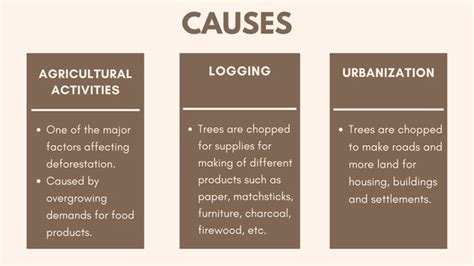 Deforestation - Causes, Effects and Solution | PPT